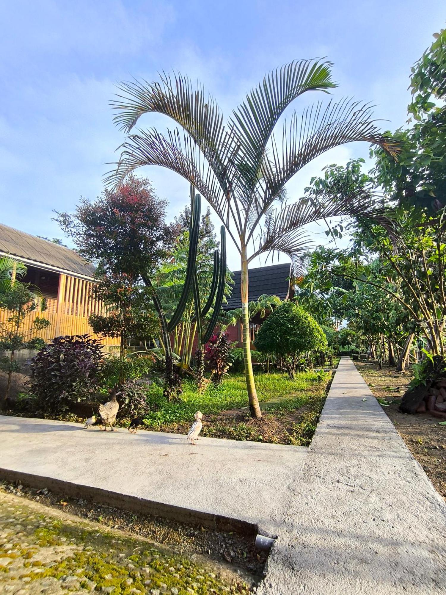 Tetebatu Valley Bungalows Dış mekan fotoğraf